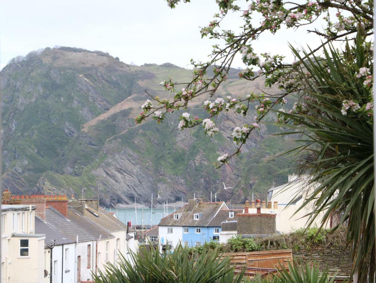 10 Cove View Apartment Ilfracombe Bagian luar foto